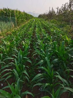 微信圖片_20250821092050_4_505