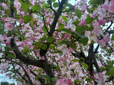 微信圖片_20260401163012